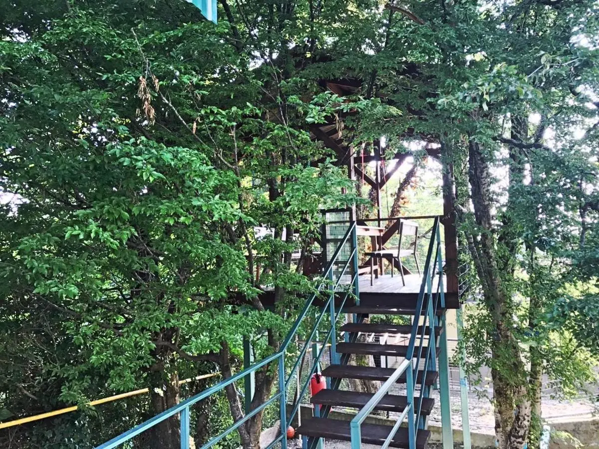 Сочи: Guest house Rosaliya