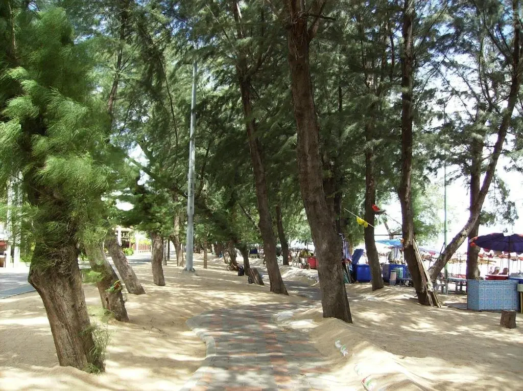 Паттайя: View Talay 5 at Nong Apartment