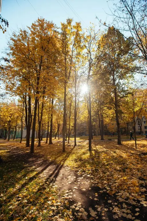 Москва: Butlerova 26 1 Apartments