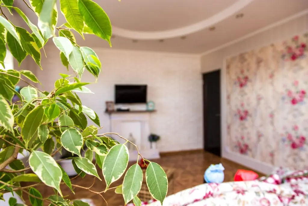 Сочи: Na Gagarina Apartments