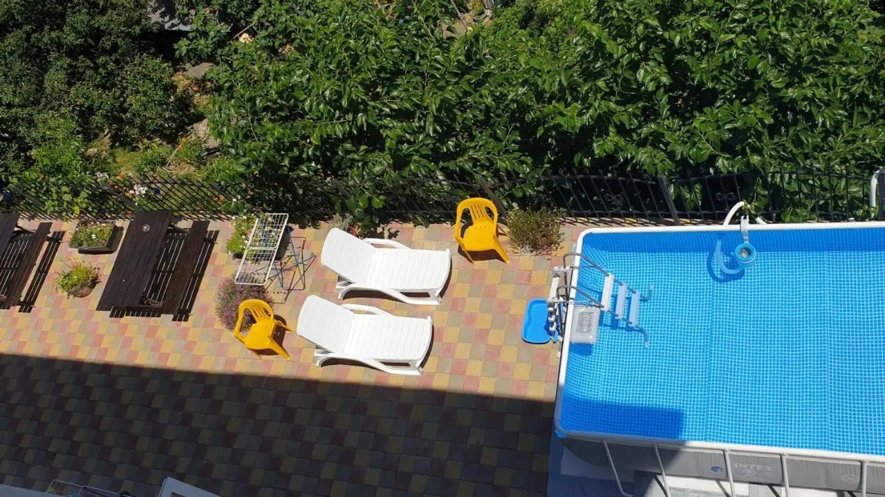 Сочи: U Kota Guest House