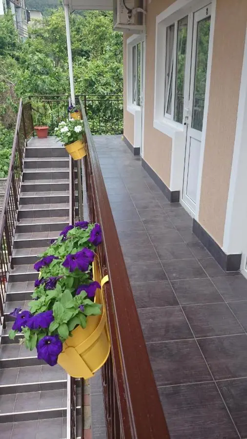 Сочи: U Kota Guest House