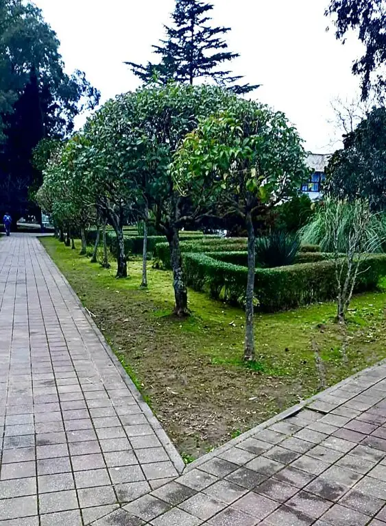 Сочи: Rezort Guest House