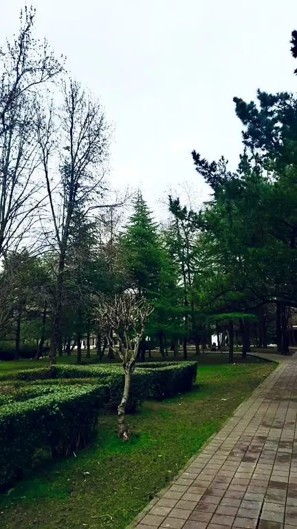 Сочи: Rezort Guest House