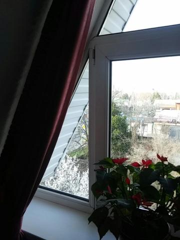 Краснодар: Клуб РЕСПЕКТ