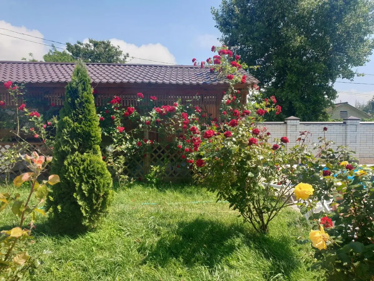 Витязево: More y Nas Guest House
