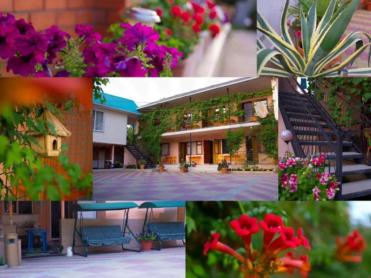 Пляхо: Rafael Guesthouse