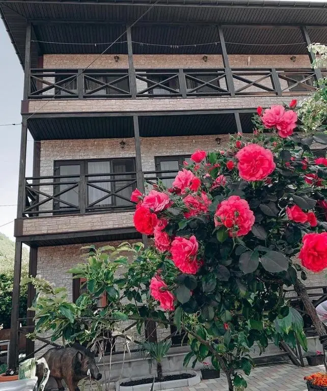 Пляхо: Rafael Guesthouse