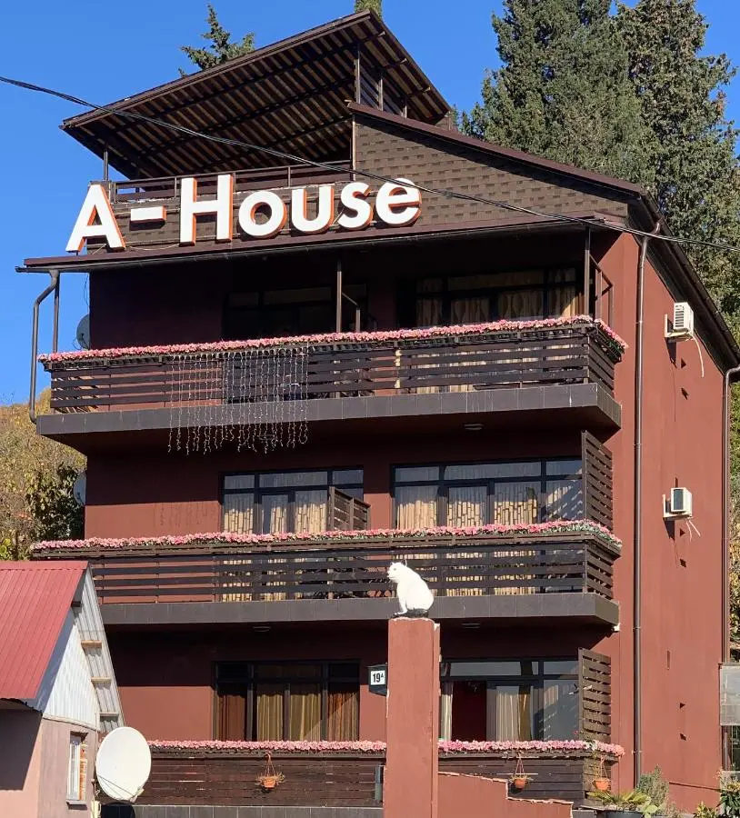 Адлер: Amosov's House 