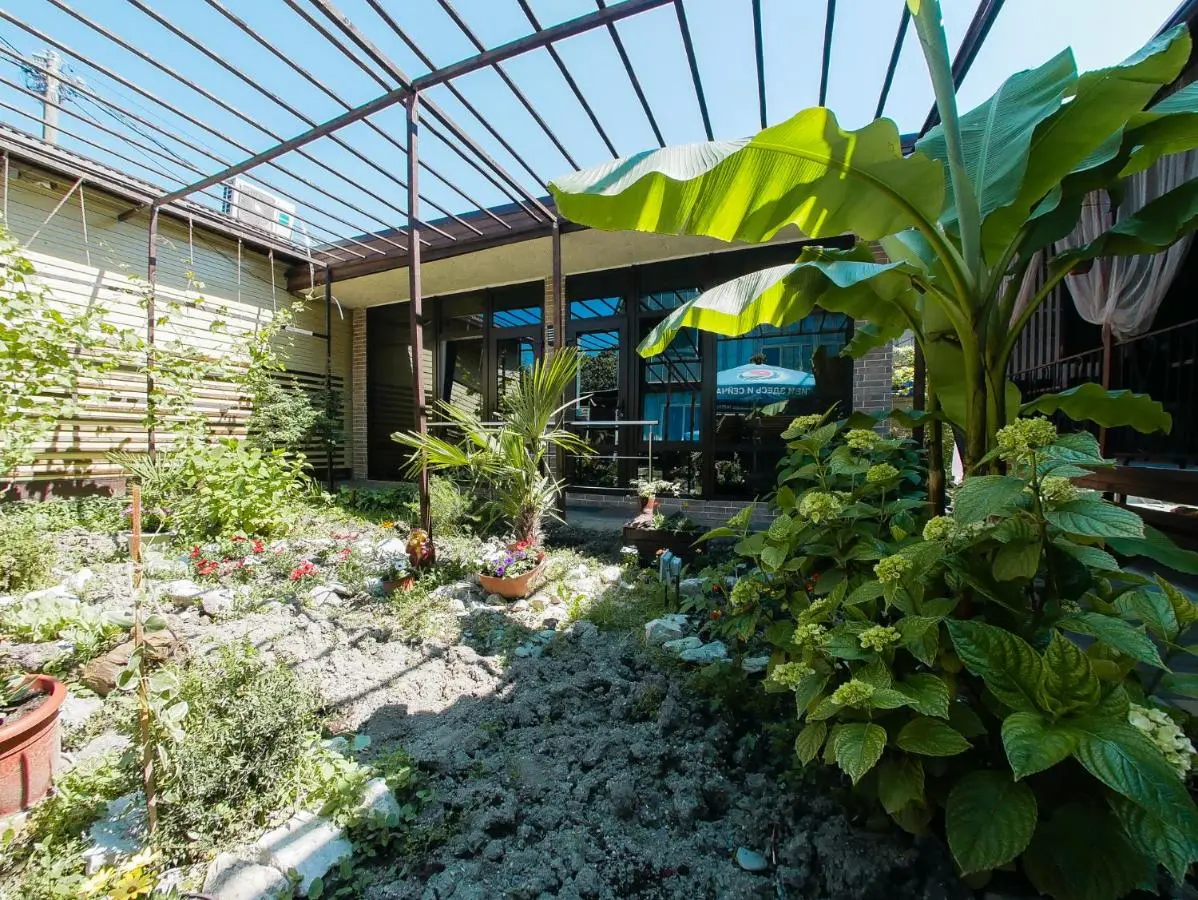 Красная Поляна: Guest House Panorama