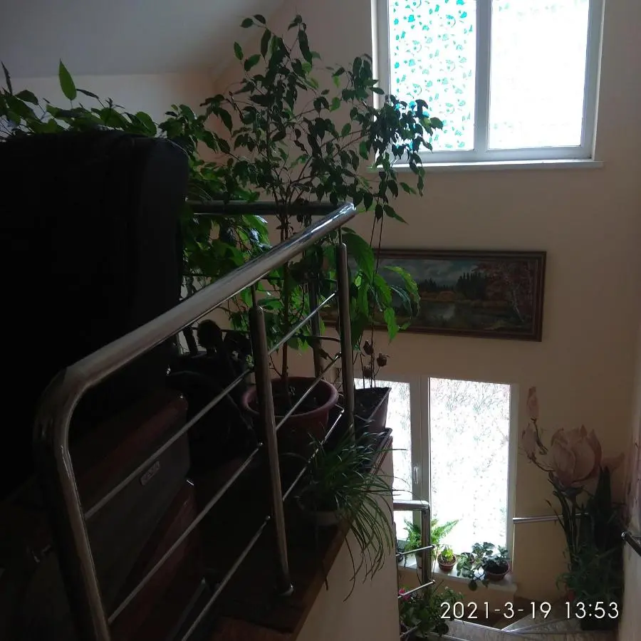 Новороссийск: Private House on Ilyicha