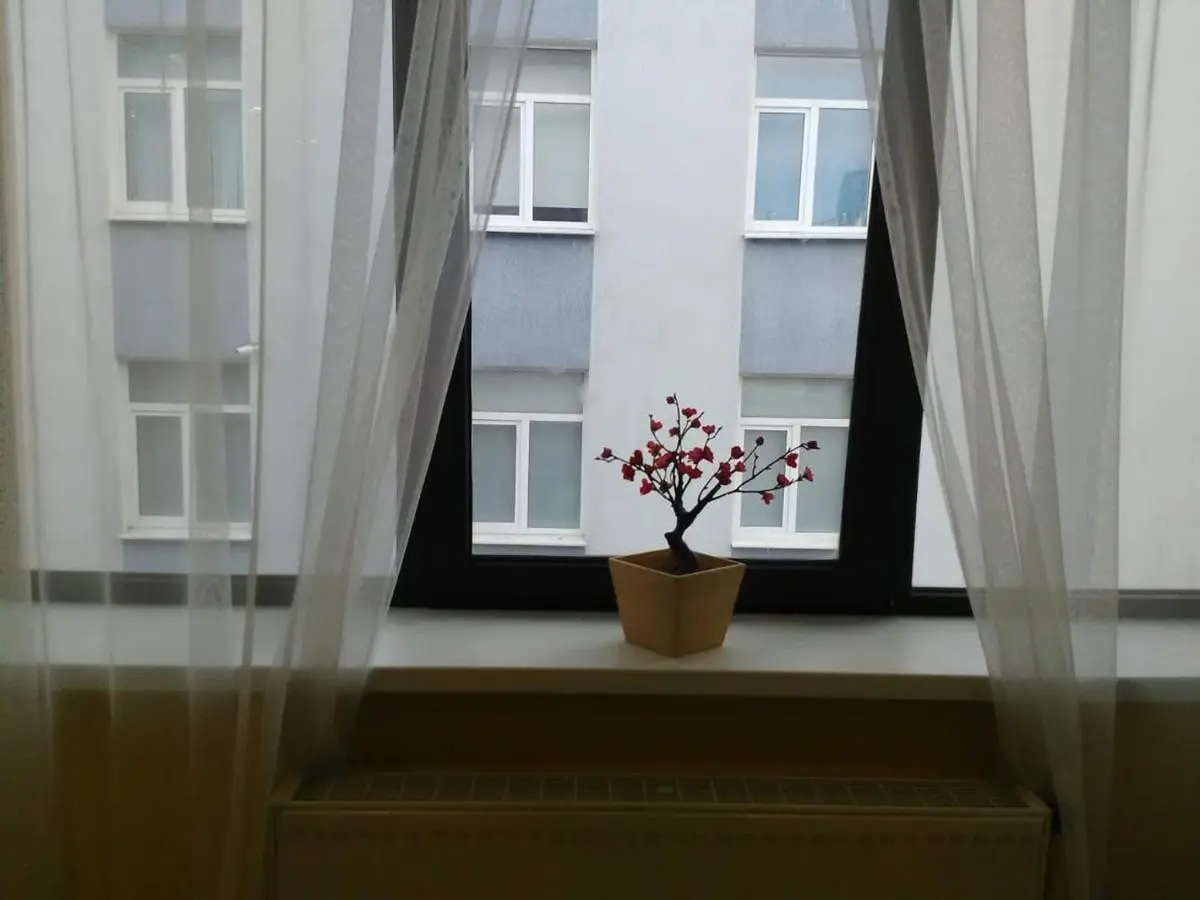 Краснодар: Hostel Uyutnyy Dom