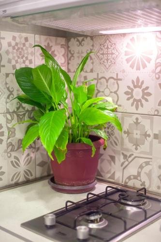 Тбилиси: NEW apartment in Old Town Avlabari