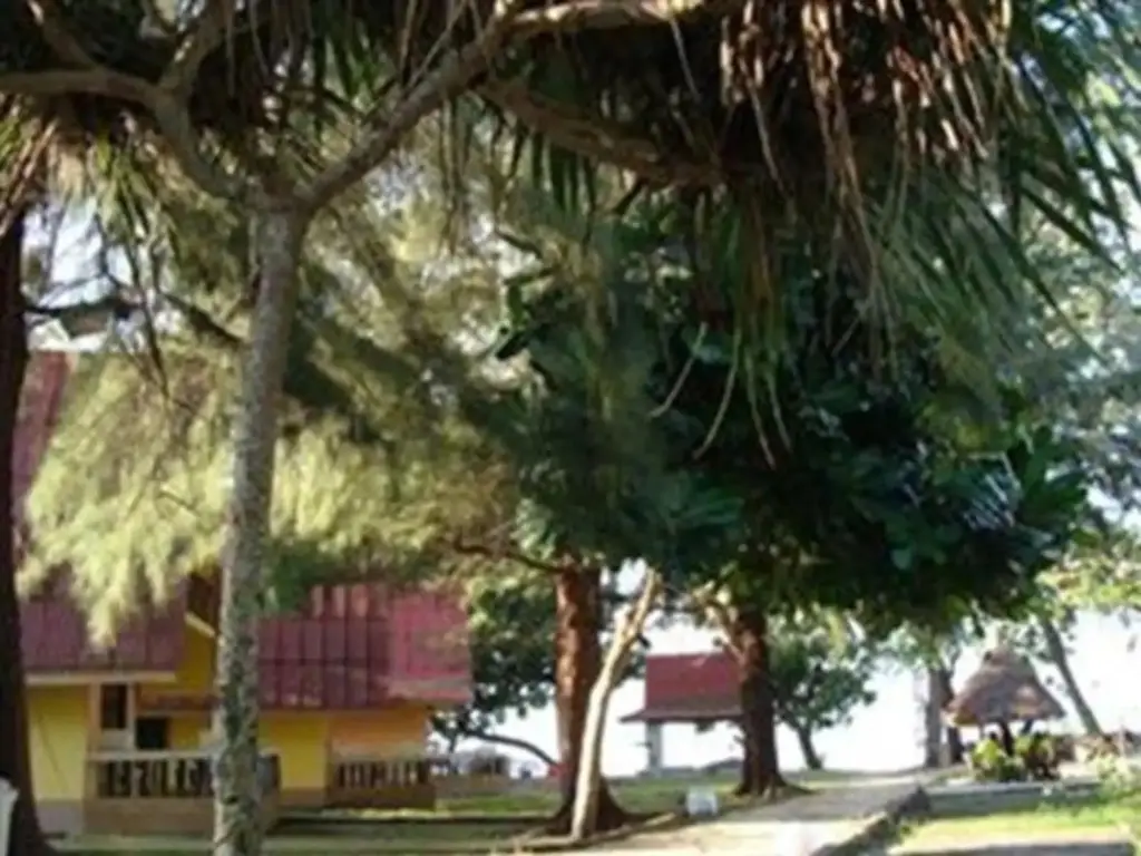 Краби: Andaman Beach Resort