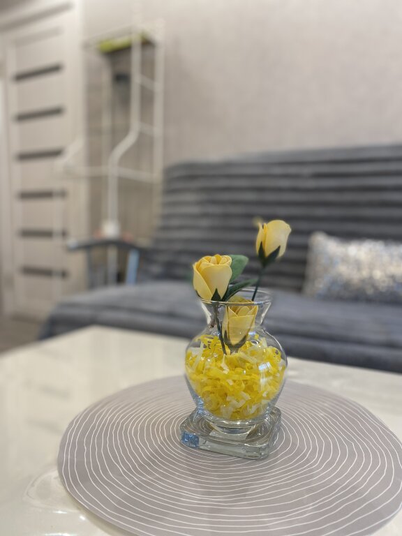 Архангельск: Апартаменты Queen Rooms