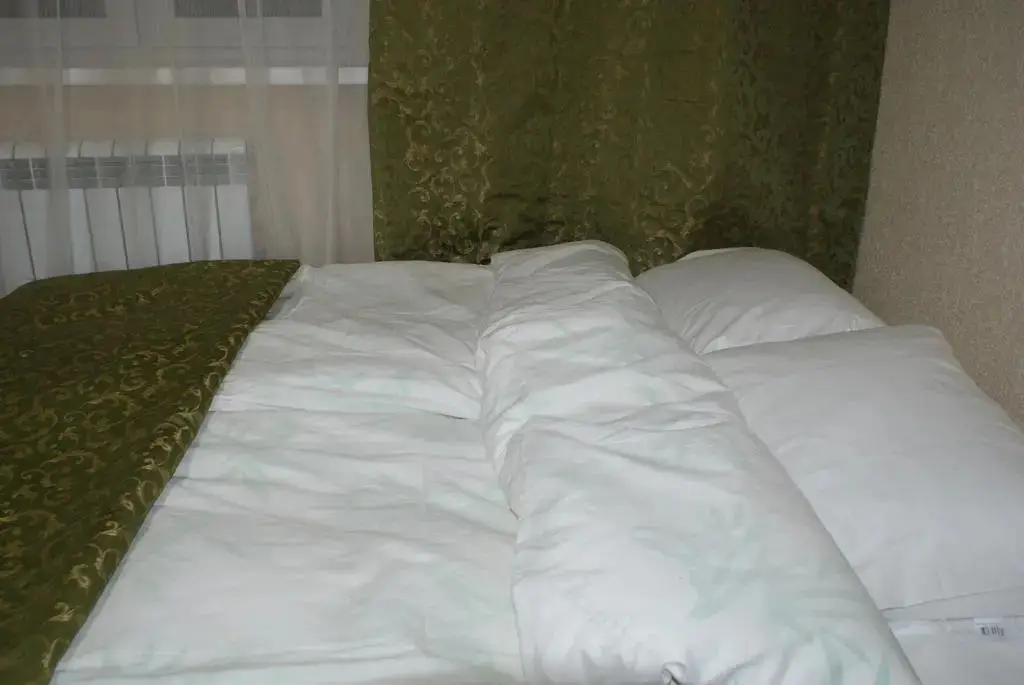 Домодедово: Sky Village Guest House