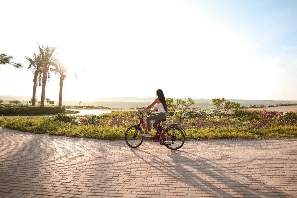 Новый Асуан: The Zen Wellness Resort