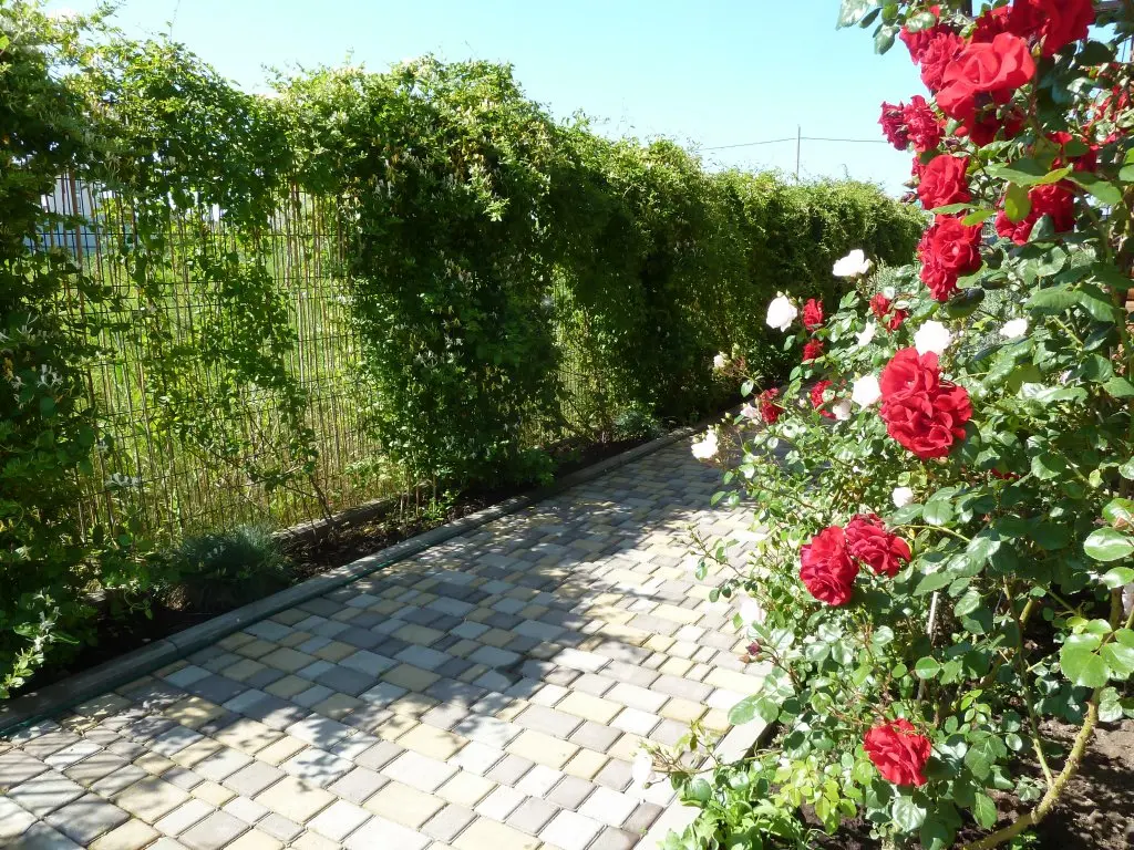 Джемете: Ekodom Belyie Rosyi Guest House