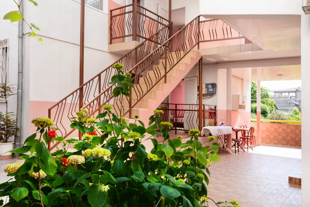 Сочи: Guest House Zvezdochka