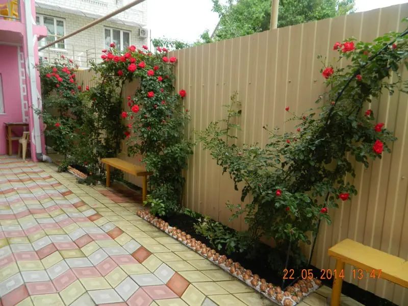 Витязево: Klyon Guest House