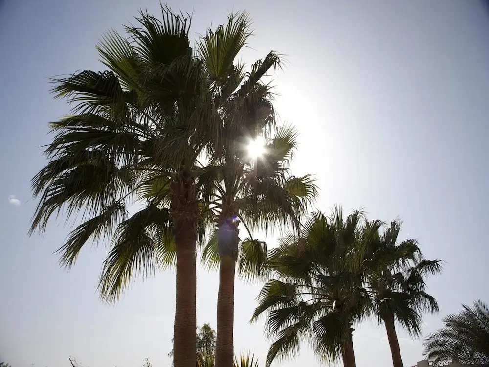 Хургада: Hurghada Coral Beach Resort