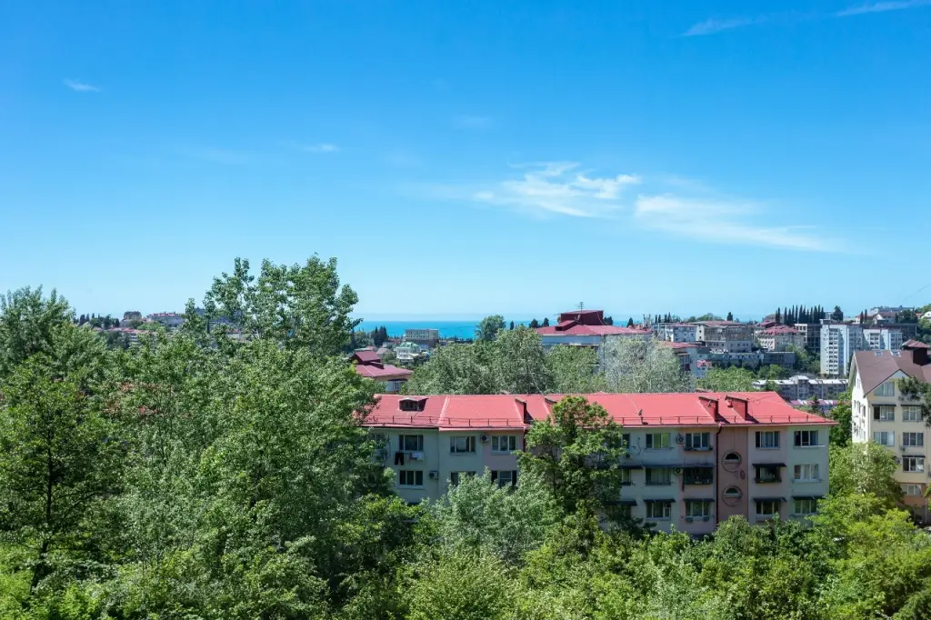 Сочи: Квартира 4.16 Studio Goncharova Mini
