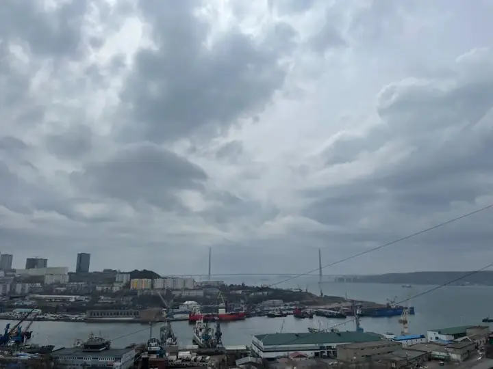 Владивосток: Апартаменты Просторная квартира в новострое с видом на Русский мост