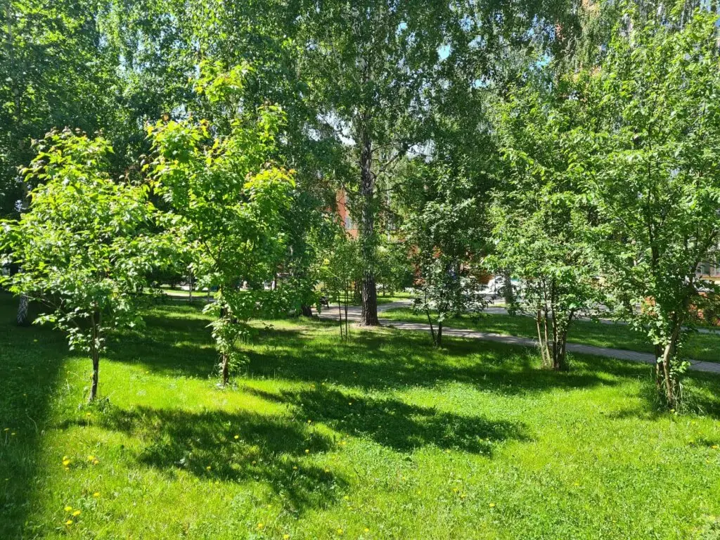 Новосибирск: Апартаменты в микрорайоне Стрижи