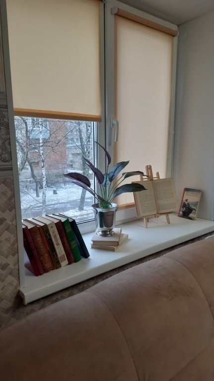 Великий Новгород: Квартира на набережной Александра Невского