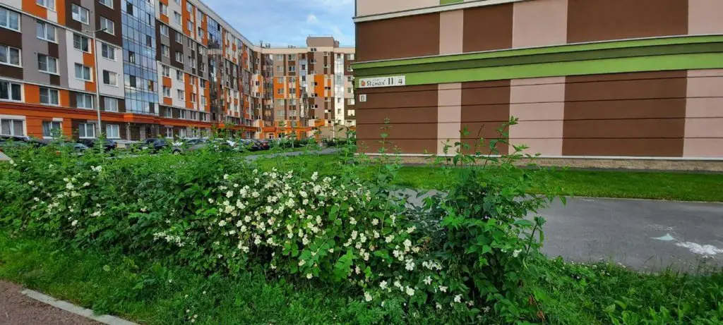 Санкт-Петербург: Апартаменты на улице Ясная 4