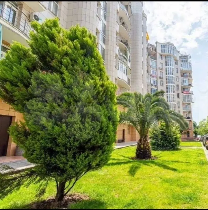 Красная Поляна: Квартира ParkLine Inn