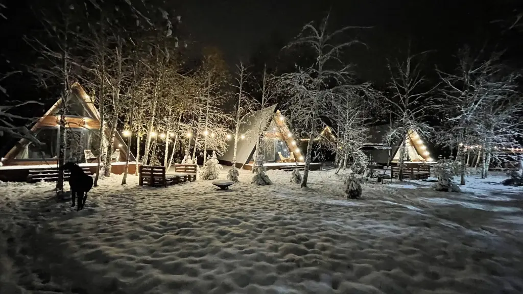 Барыбино: Частный дом Forest Glamp Uvarovo