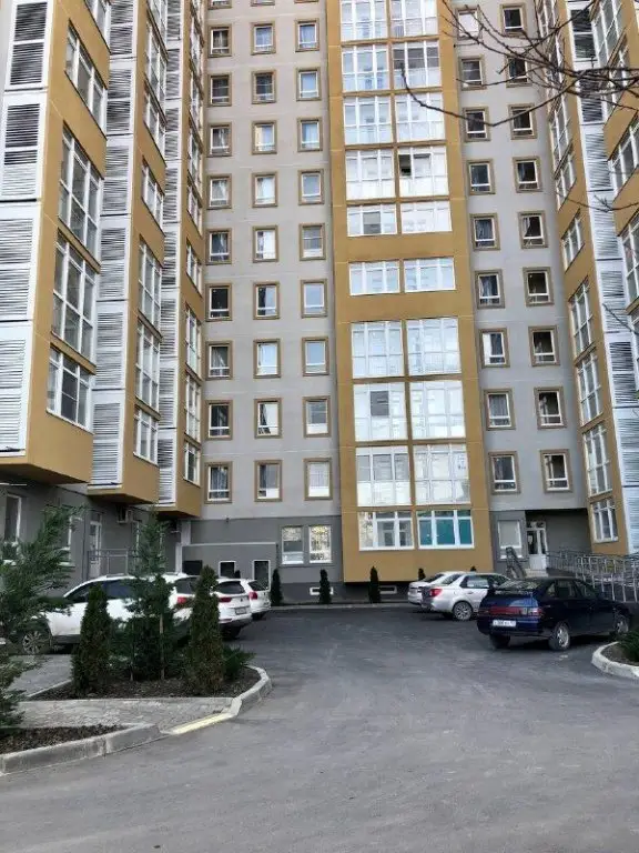 Анапа: Джамайка
