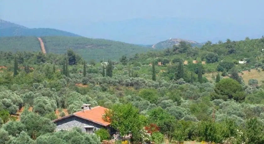 Кушадасы: Dirim Guesthouse