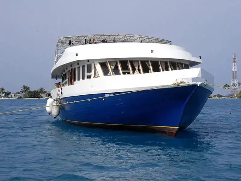 Северный атолл Мале: TLM Cruiser