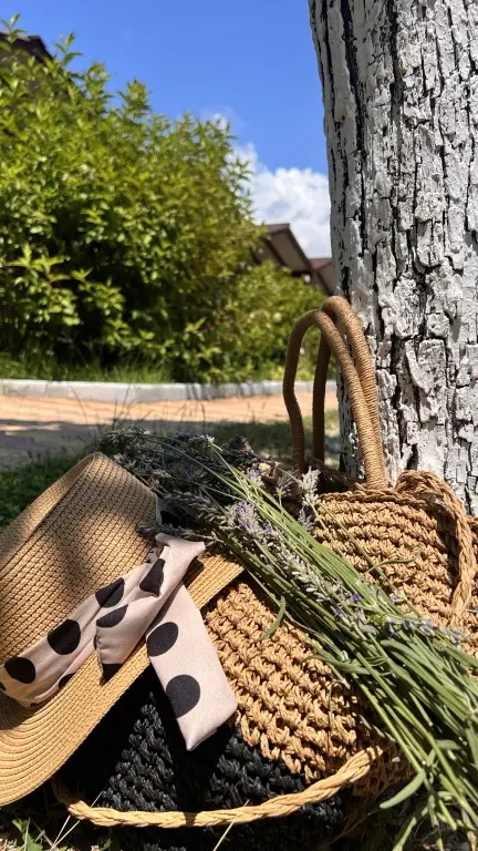 Гечрипш: Гостевой дом MiMi