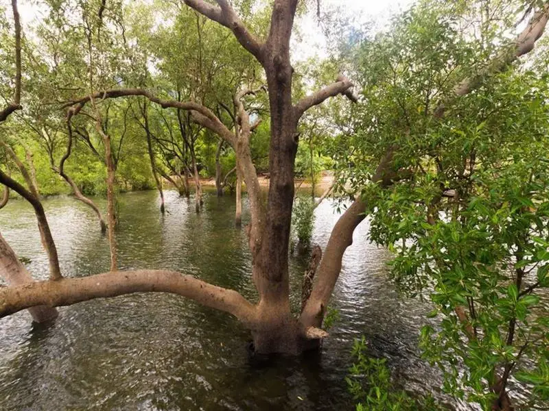 Краби: The Nature Home Krabi