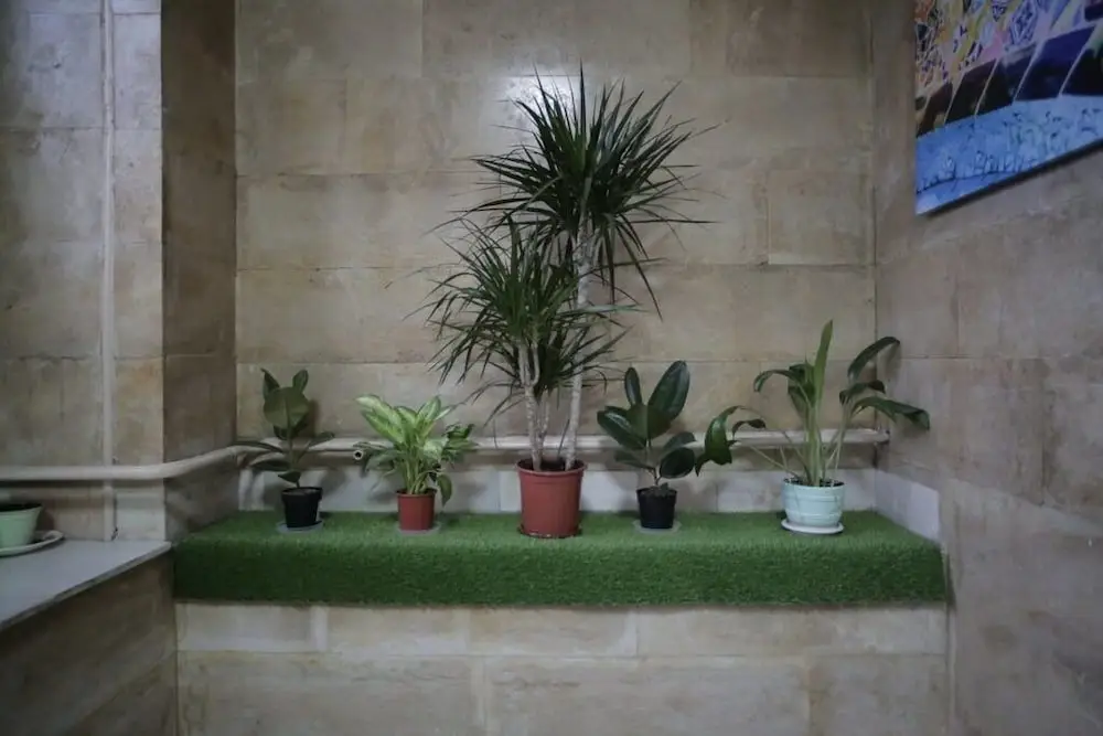 Москва: Progress Hostel