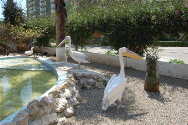 Мерсин: Mersin Green Tower Suites