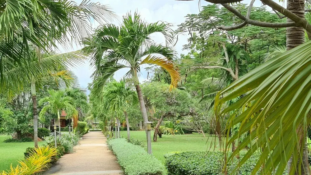 Чаам: Welcome to our Oasis The Beautiful Bungalow Green