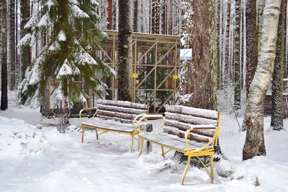 Сопоха: Sandal Guest House