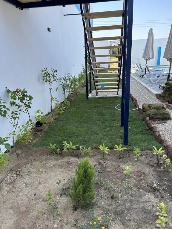 Луксор: Lemon Tree Guest House and Swimming Pool