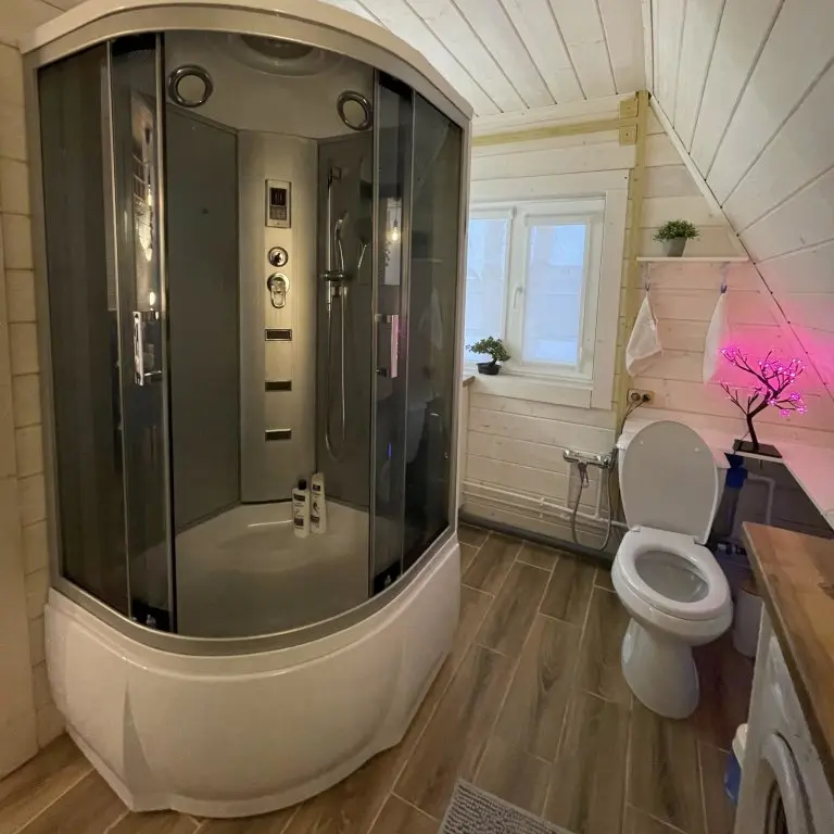 Новгород: Moiseevichi life Guest House