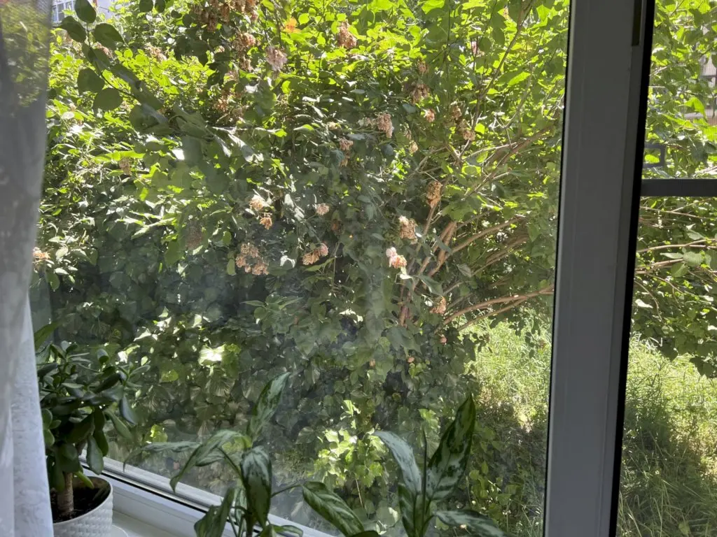 Геленджик: Апартаменты 331 Свердлова 7