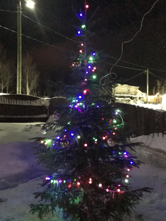 Кола: Гостевой дом Уютный дом