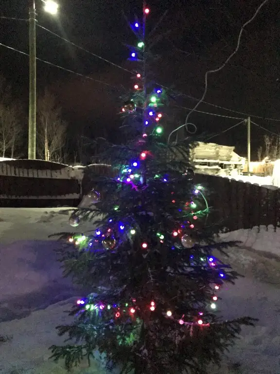 Кола: Гостевой дом Уютный дом