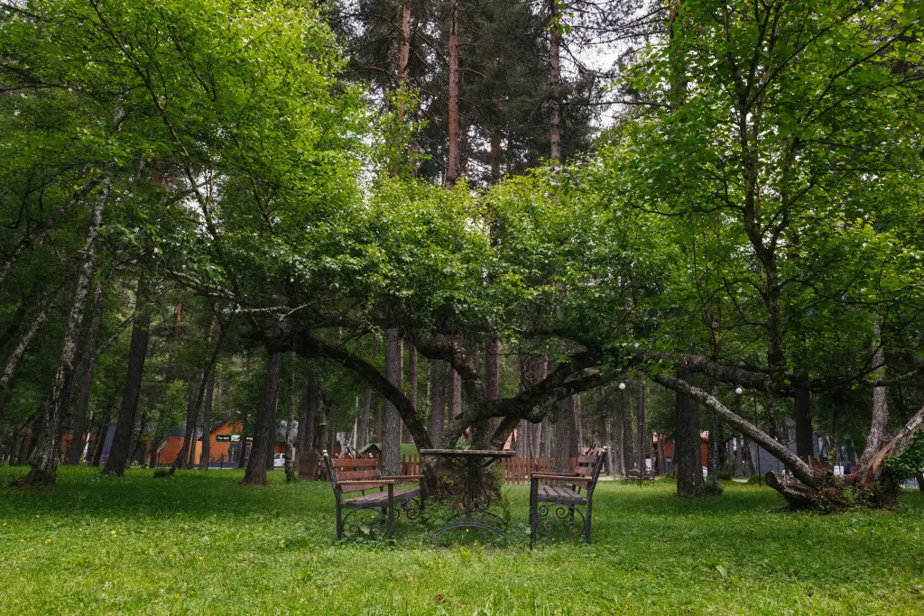 Архыз: Отель Конак Хаус