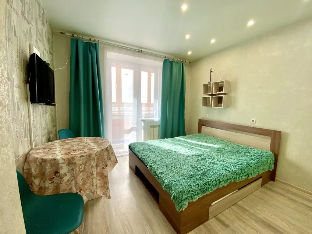 1 Komnatnay Kvartira Studiya Na Ulice Timiryazeva 23 Apartments — фото 1