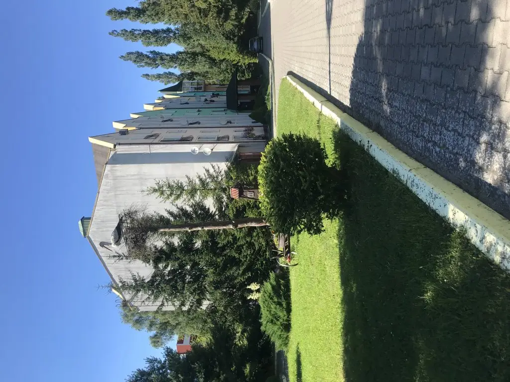 Светлогорск: Квартира Студия с сауной