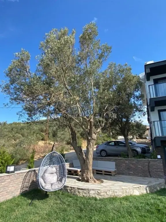 Бююхусун: Assos Luna Houses